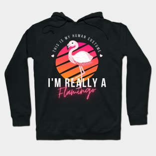 Flamingo Lovers, This Is My Human Costume I'm Really A Flamingo, funny halloween Hoodie